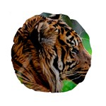 Tiger Standard 15  Premium Round Cushion 