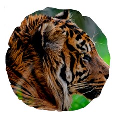 Tiger Large 18  Premium Round Cushion  from ArtsNow.com Back