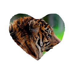 Tiger Standard 16  Premium Heart Shape Cushion  from ArtsNow.com Front