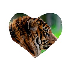 Tiger Standard 16  Premium Heart Shape Cushion  from ArtsNow.com Back