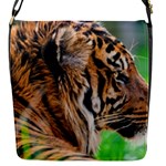 Tiger Flap Closure Messenger Bag (S)