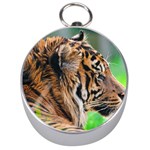 Tiger Silver Compass