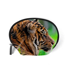 Tiger Accessory Pouch (Small) from ArtsNow.com Back