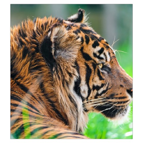 Tiger Drawstring Pouch (Large) from ArtsNow.com Front