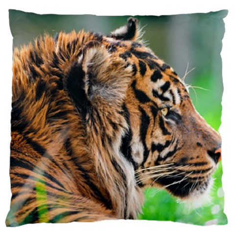Tiger Standard Flano Cushion Case (Two Sides) from ArtsNow.com Front