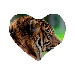 Tiger Standard 16  Premium Flano Heart Shape Cushion  from ArtsNow.com Front