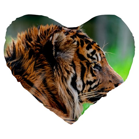 Tiger Large 19  Premium Flano Heart Shape Cushion from ArtsNow.com Front