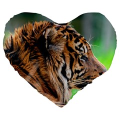 Tiger Large 19  Premium Flano Heart Shape Cushion from ArtsNow.com Front