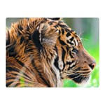 Tiger Double Sided Flano Blanket (Mini)