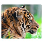 Tiger Double Sided Flano Blanket (Small)