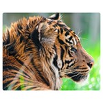 Tiger Double Sided Flano Blanket (Medium)