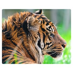 Tiger Double Sided Flano Blanket (Medium) from ArtsNow.com 60 x50  Blanket Back