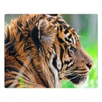 Tiger Double Sided Flano Blanket (Large)