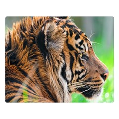 Tiger Double Sided Flano Blanket (Large) from ArtsNow.com Blanket Back