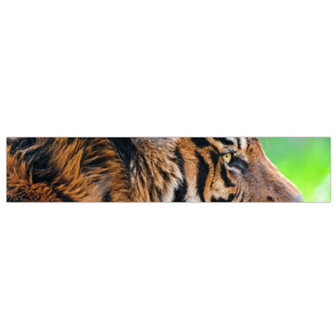 Tiger Flano Scarf (Small) from ArtsNow.com Back