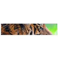 Tiger Flano Scarf (Small) from ArtsNow.com Back