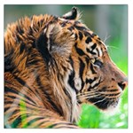 Tiger Large Satin Scarf (Square)