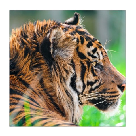Tiger Duvet Cover Double Side (Queen Size) from ArtsNow.com Front