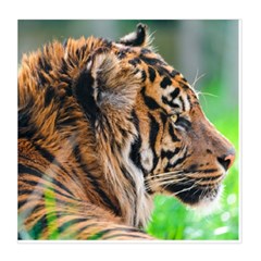 Tiger Duvet Cover Double Side (Queen Size) from ArtsNow.com Back