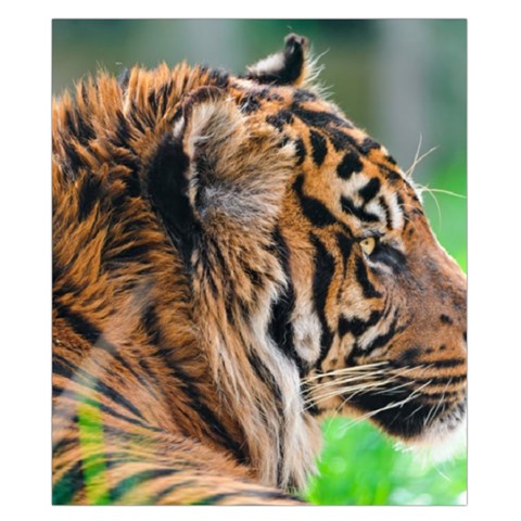 Tiger Duvet Cover Double Side (California King Size) from ArtsNow.com Front
