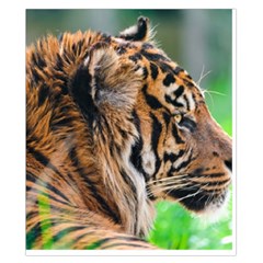 Tiger Duvet Cover Double Side (California King Size) from ArtsNow.com Back