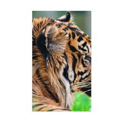 Tiger Duvet Cover Double Side (Single Size) from ArtsNow.com Back
