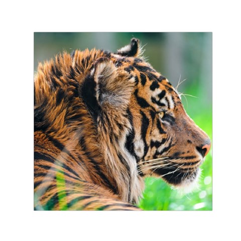Tiger Small Satin Scarf (Square) from ArtsNow.com Front