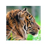 Tiger Small Satin Scarf (Square)