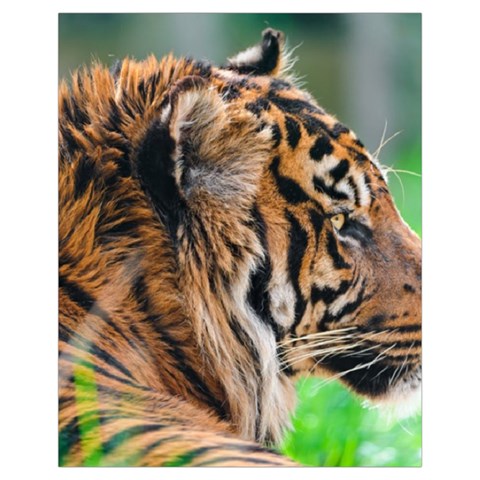 Tiger Drawstring Pouch (XL) from ArtsNow.com Front
