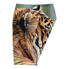 Tiger Midi Wrap Pencil Skirt from ArtsNow.com  Front Right 