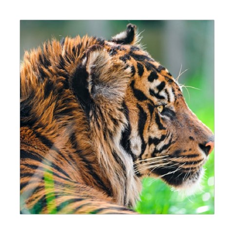 Tiger Square Tapestry (Large) from ArtsNow.com Front