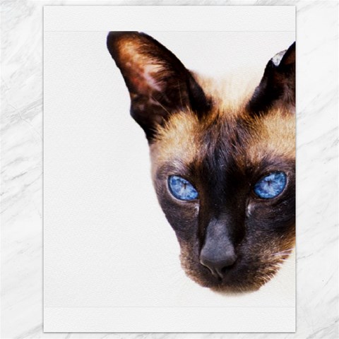 Siamese Cat Canvas 12  x 16  from ArtsNow.com 11.86 x15.41  Canvas - 1
