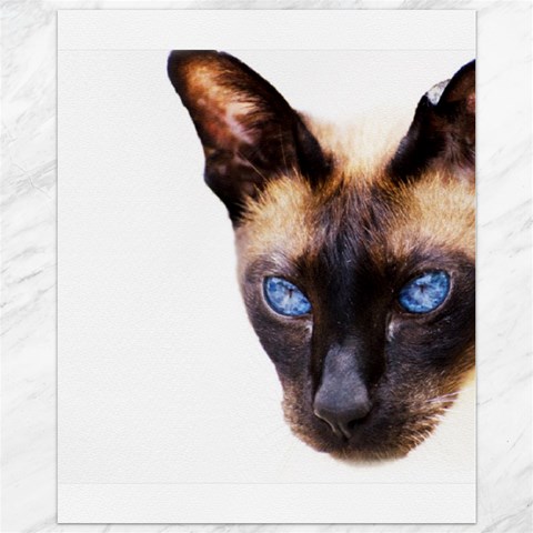 Siamese Cat Canvas 11  x 14  from ArtsNow.com 10.95 x13.48  Canvas - 1