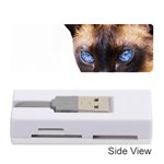 Siamese Cat Memory Card Reader (Stick)