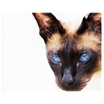 Siamese Cat Double Sided Flano Blanket (Medium)
