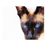 Siamese Cat Double Sided Flano Blanket (Large)