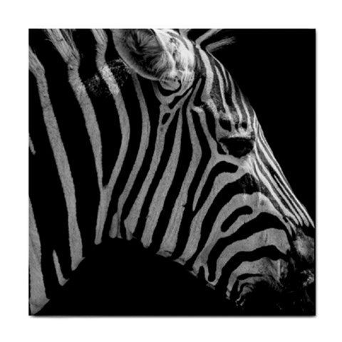 Zebra 3 Tile Coaster from ArtsNow.com Front