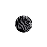 Zebra 3 1  Mini Magnet