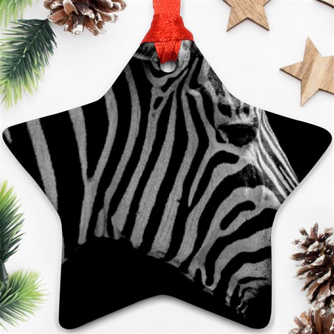 Zebra 3 Ornament (Star) from ArtsNow.com Front
