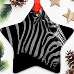 Zebra 3 Ornament (Star)