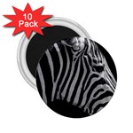 Zebra 3 2.25  Magnet (10 pack)