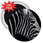 Zebra 3 3  Magnet (100 pack)