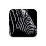 Zebra 3 Rubber Square Coaster (4 pack)