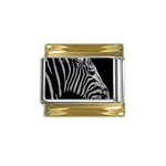 Zebra 3 Gold Trim Italian Charm (9mm)