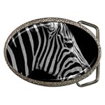 Zebra 3 Belt Buckle