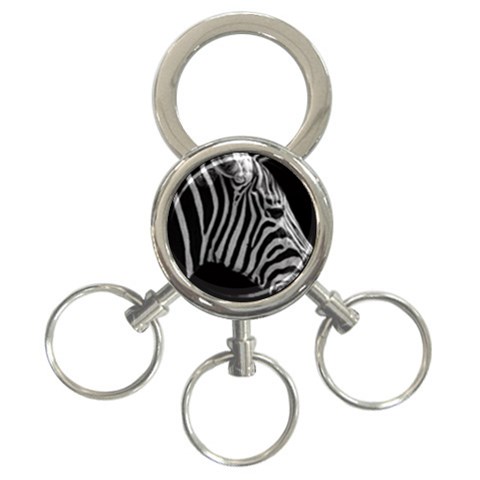Zebra 3 3 Front