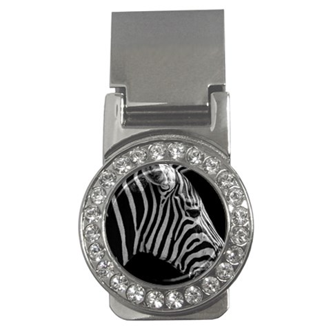 Zebra 3 Money Clip (CZ) from ArtsNow.com Front