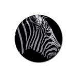 Zebra 3 Rubber Round Coaster (4 pack)