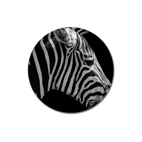 Zebra 3 Magnet 3  (Round) from ArtsNow.com Front