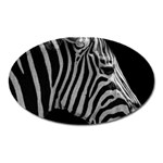 Zebra 3 Magnet (Oval)